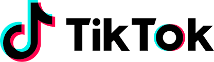 Tiktok Logo On Website