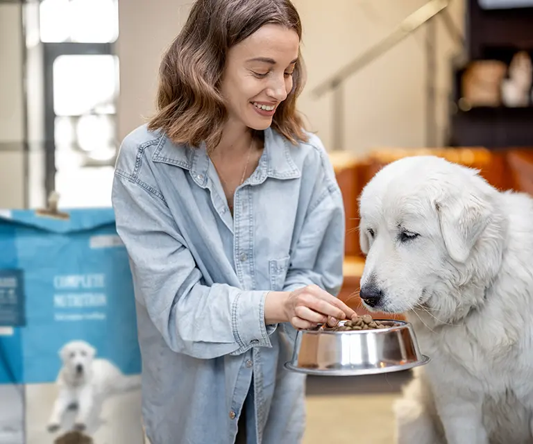 pet influencer marketing for pet brands